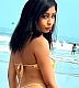 Rose Rush's Public Photo (SexyJobs ID# 699150)